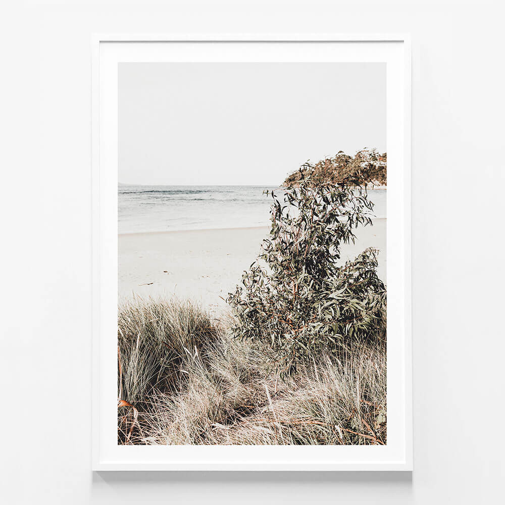 Serene Coast