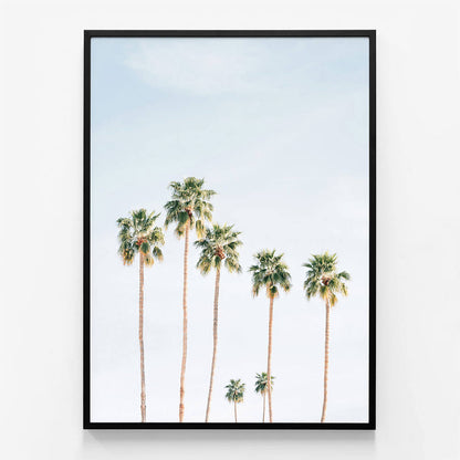 Seven Palms