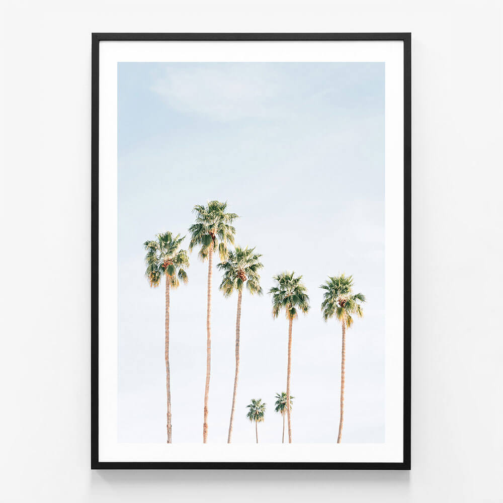 Seven Palms