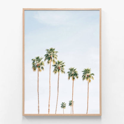 Seven Palms