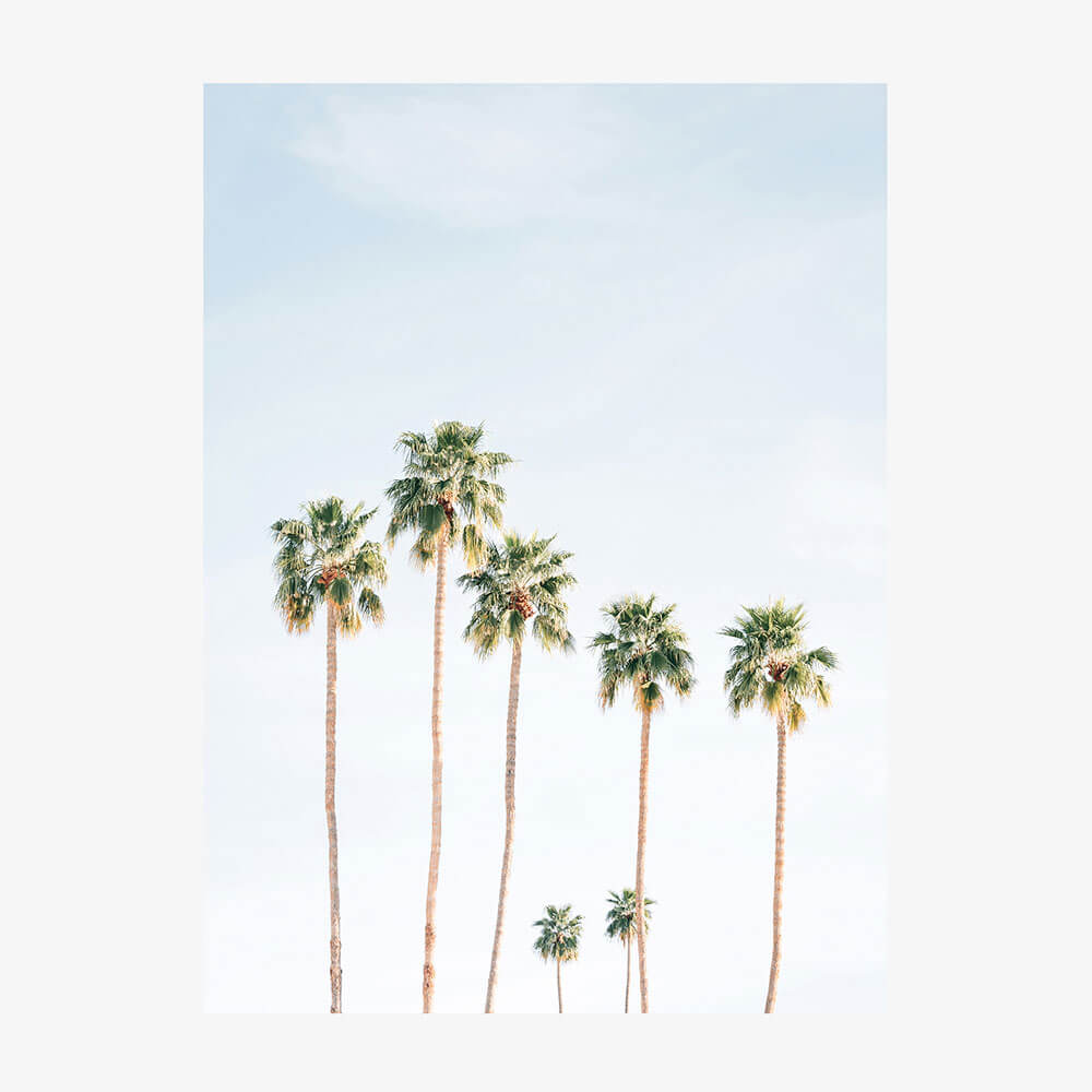Seven Palms