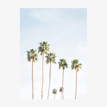 Seven Palms