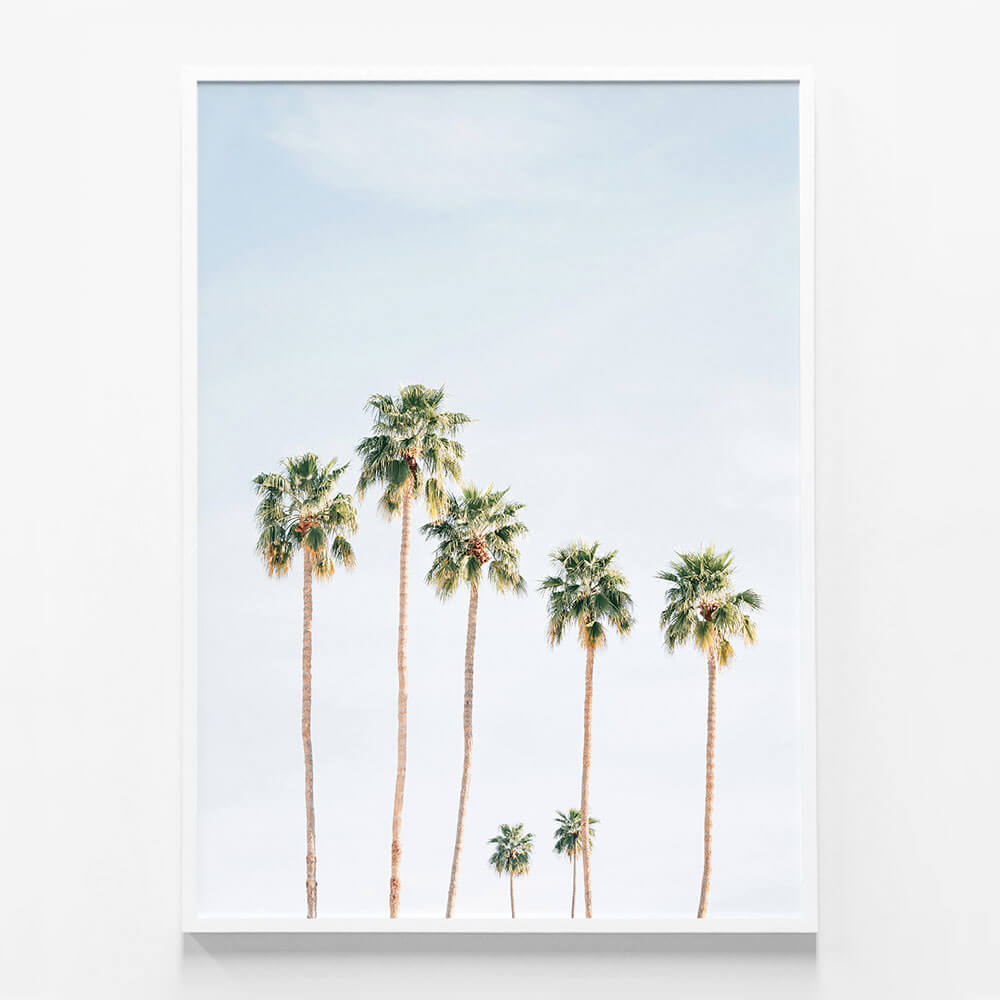 Seven Palms