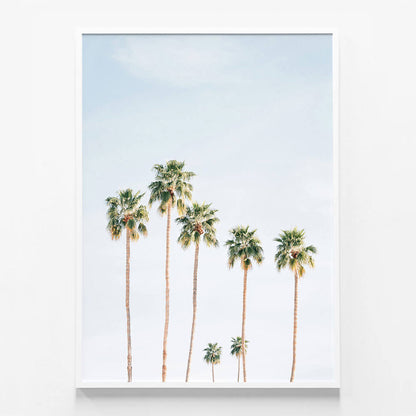 Seven Palms