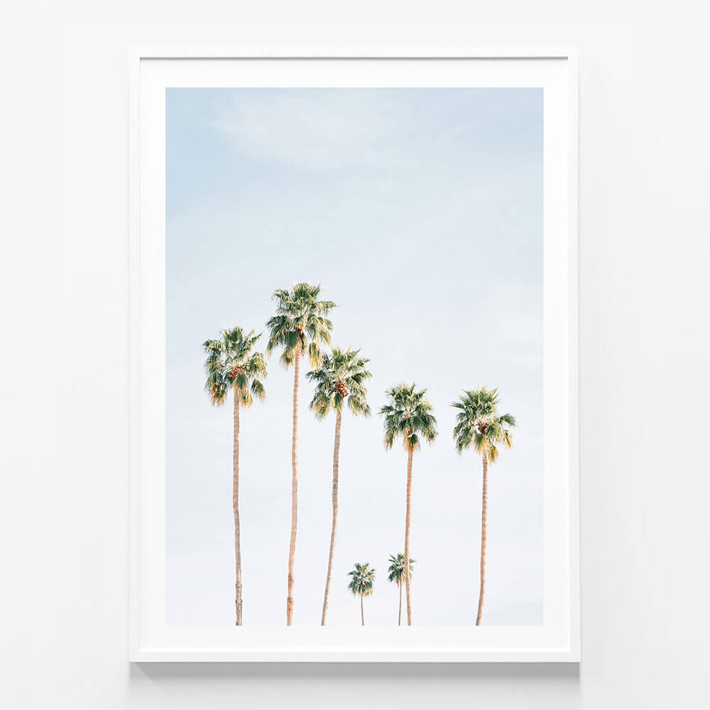 Seven Palms