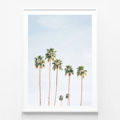 Seven Palms