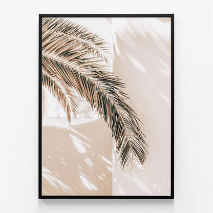 Shaded Palm