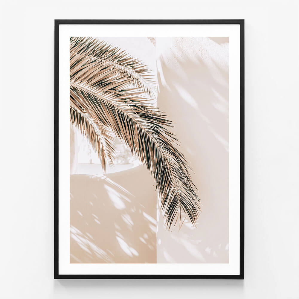 Shaded Palm