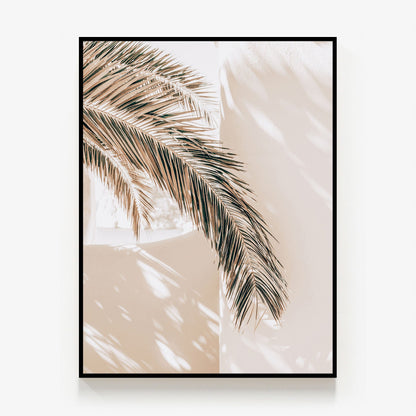 Shaded Palm Canvas