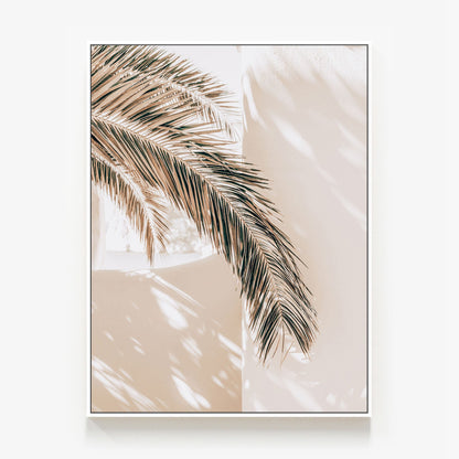 Shaded Palm Canvas