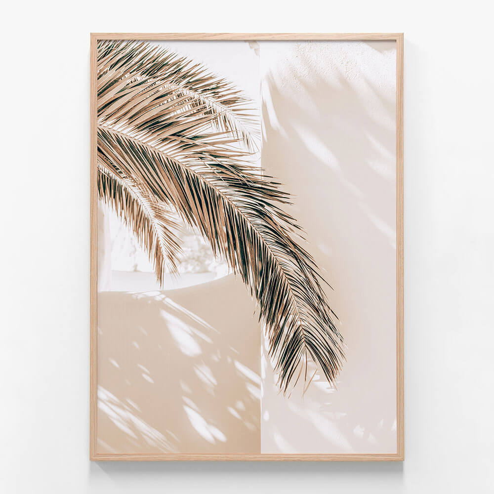 Shaded Palm