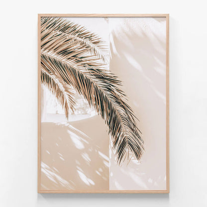 Shaded Palm