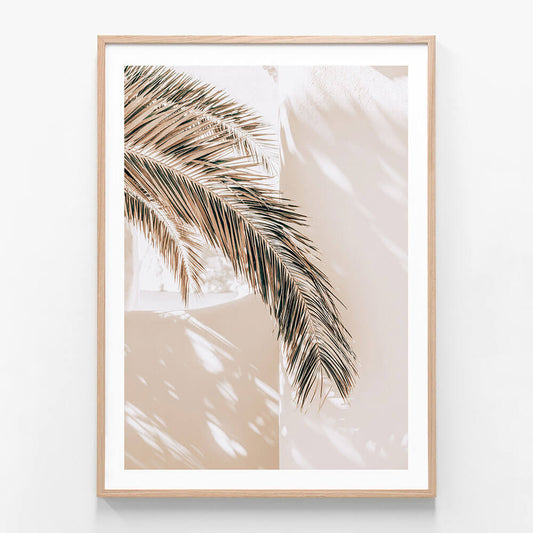 Shaded Palm