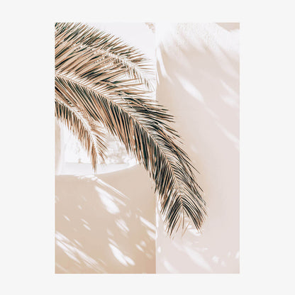 Shaded Palm