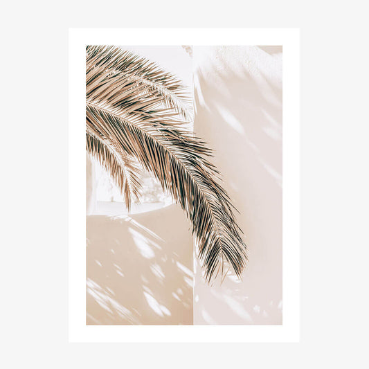 Shaded Palm