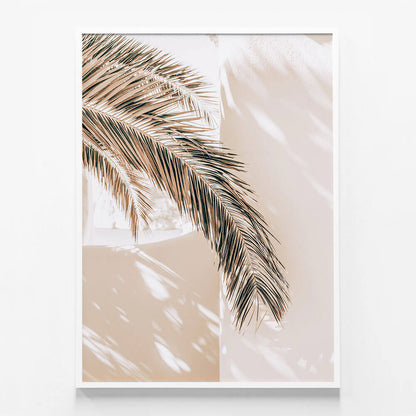 Shaded Palm