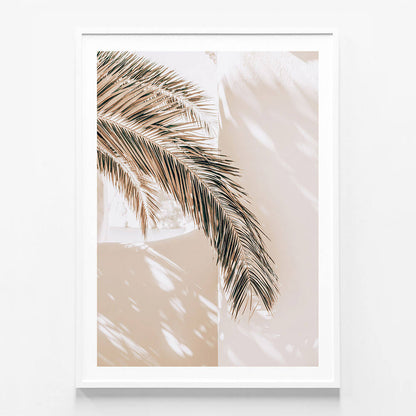 Shaded Palm