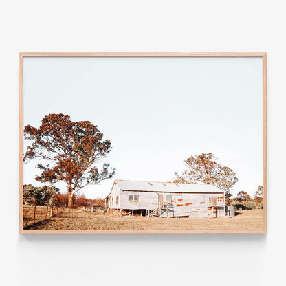 Shearing Shed