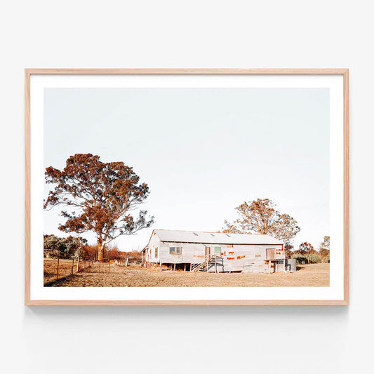 Shearing Shed