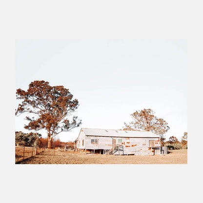 Shearing Shed