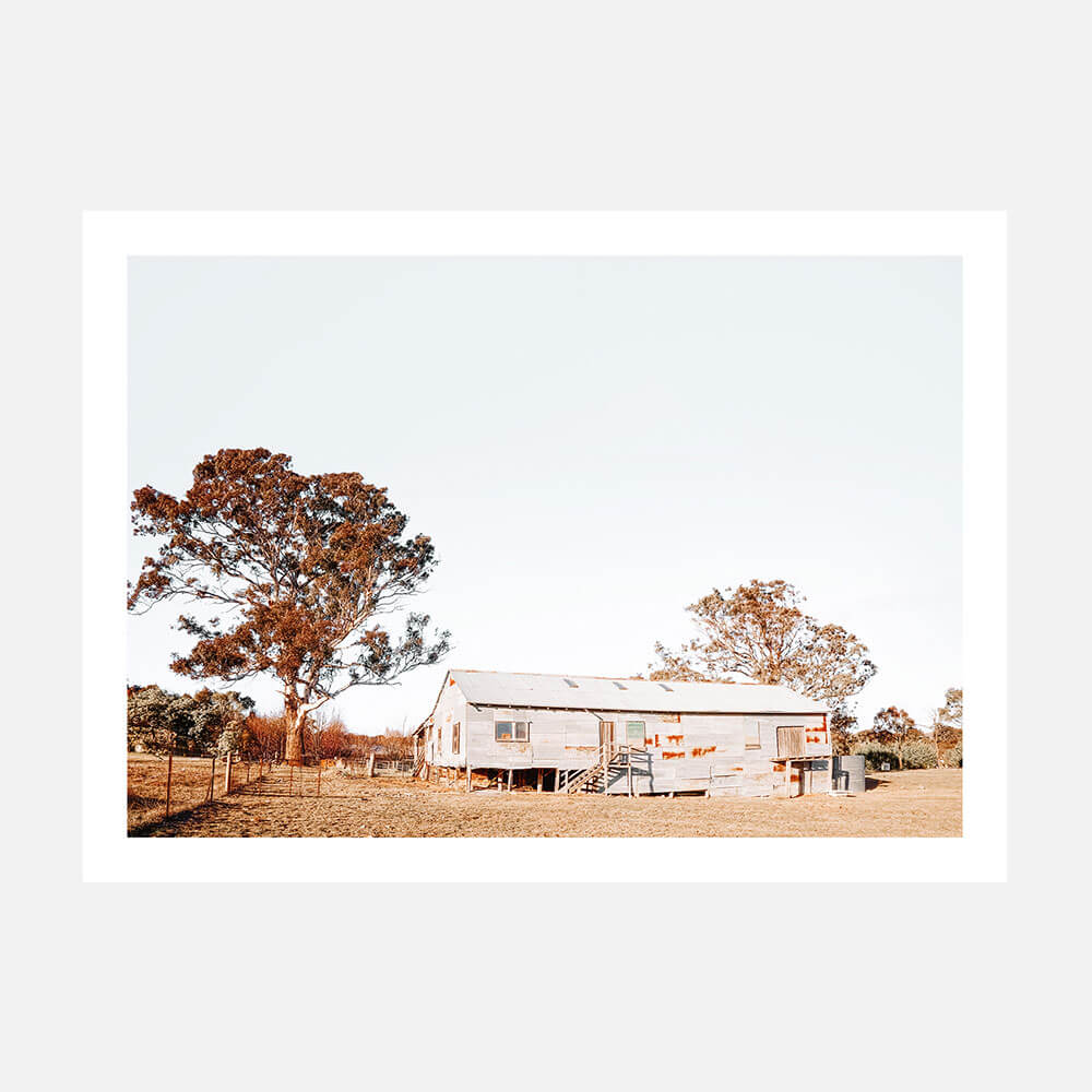 Shearing Shed
