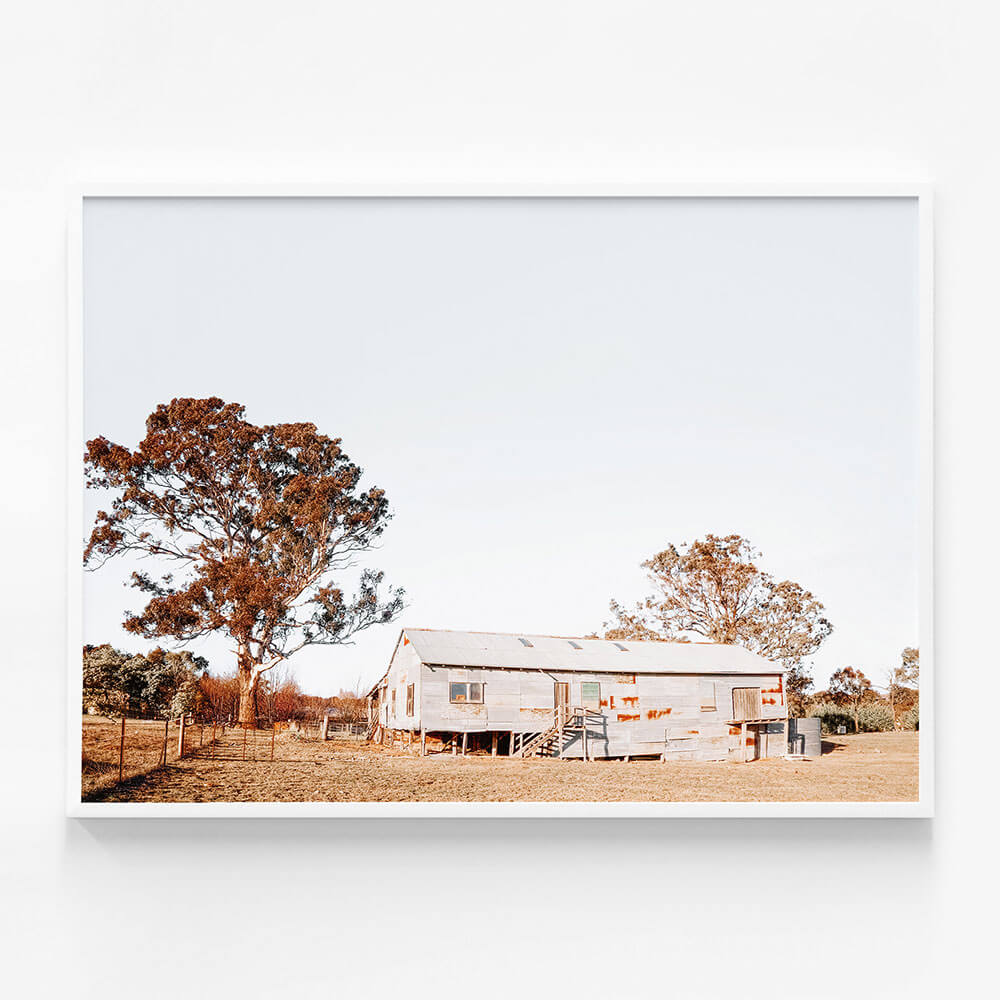 Shearing Shed