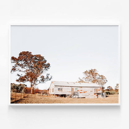 Shearing Shed
