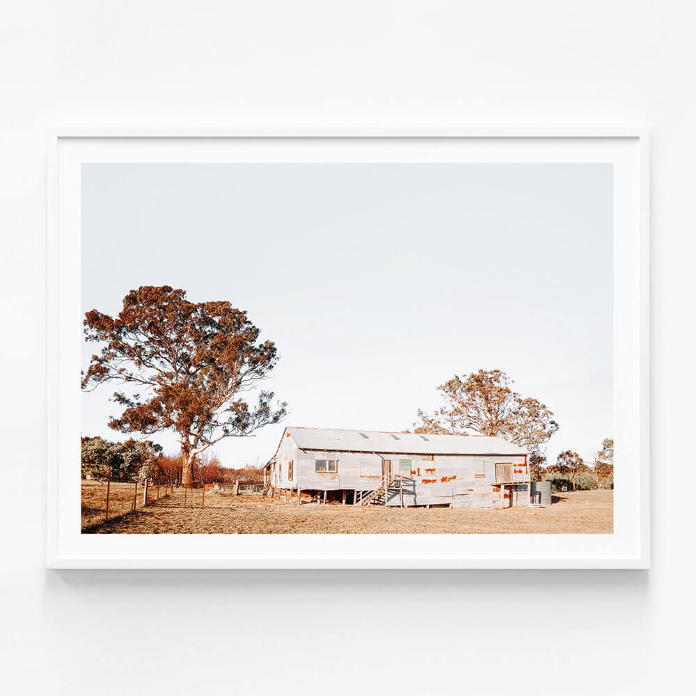 Shearing Shed