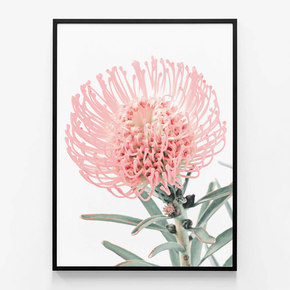 Single Pincushion