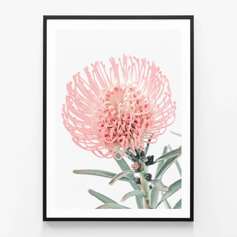 Single Pincushion