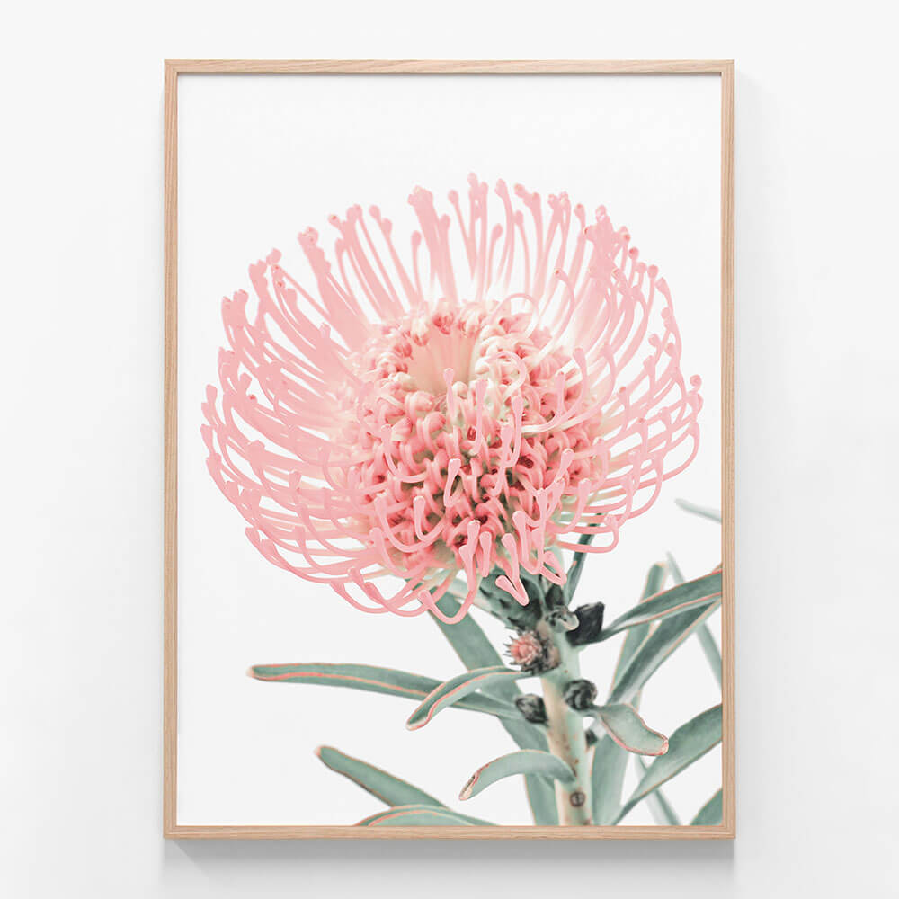 Single Pincushion