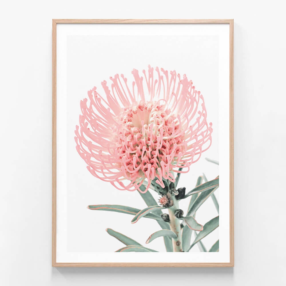 Single Pincushion