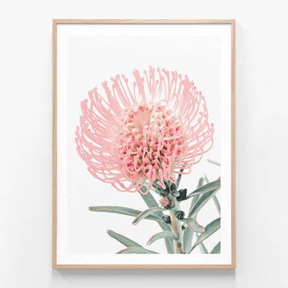 Single Pincushion