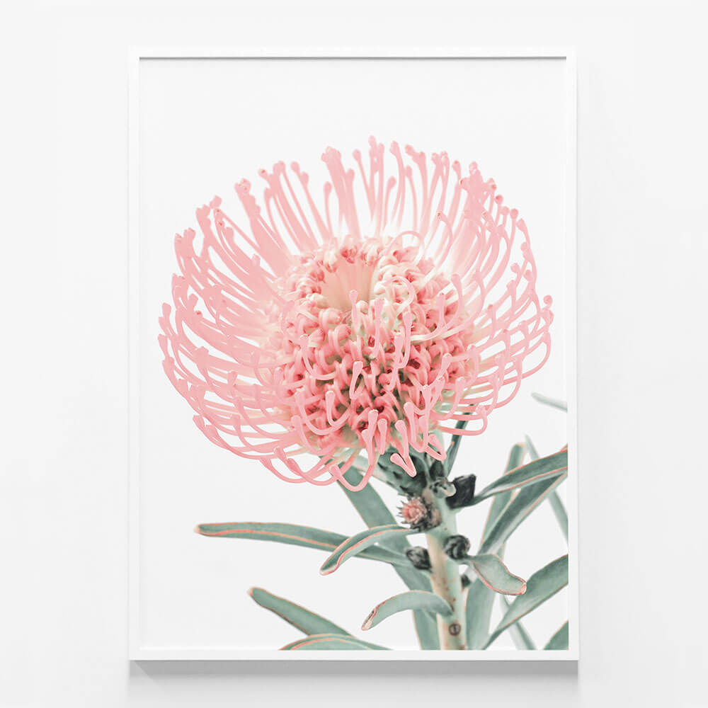 Single Pincushion
