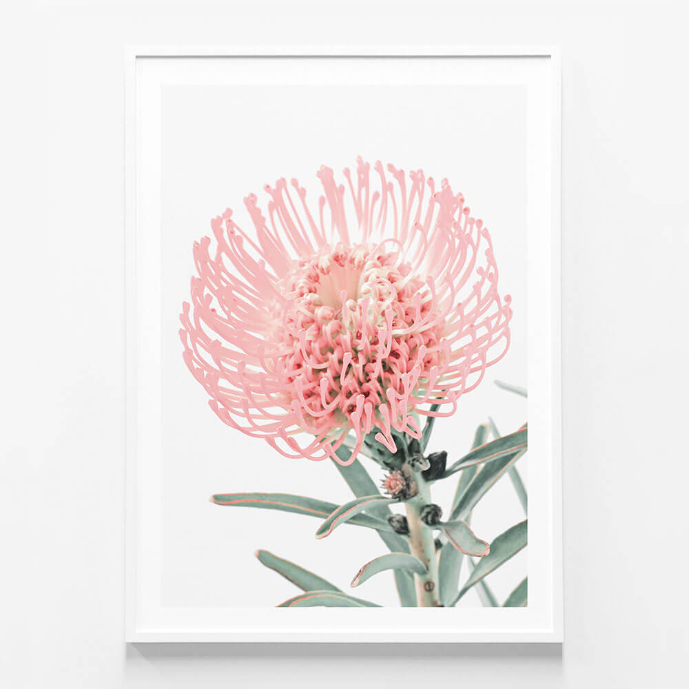 Single Pincushion
