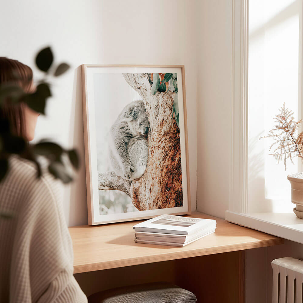 Sleepy-Australian-Koala-Framed-Photo-Wall-Art-Print.jpg
