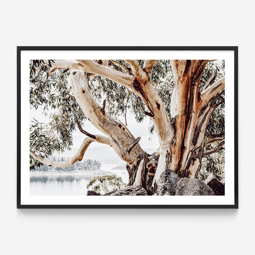 Snowy Mountains