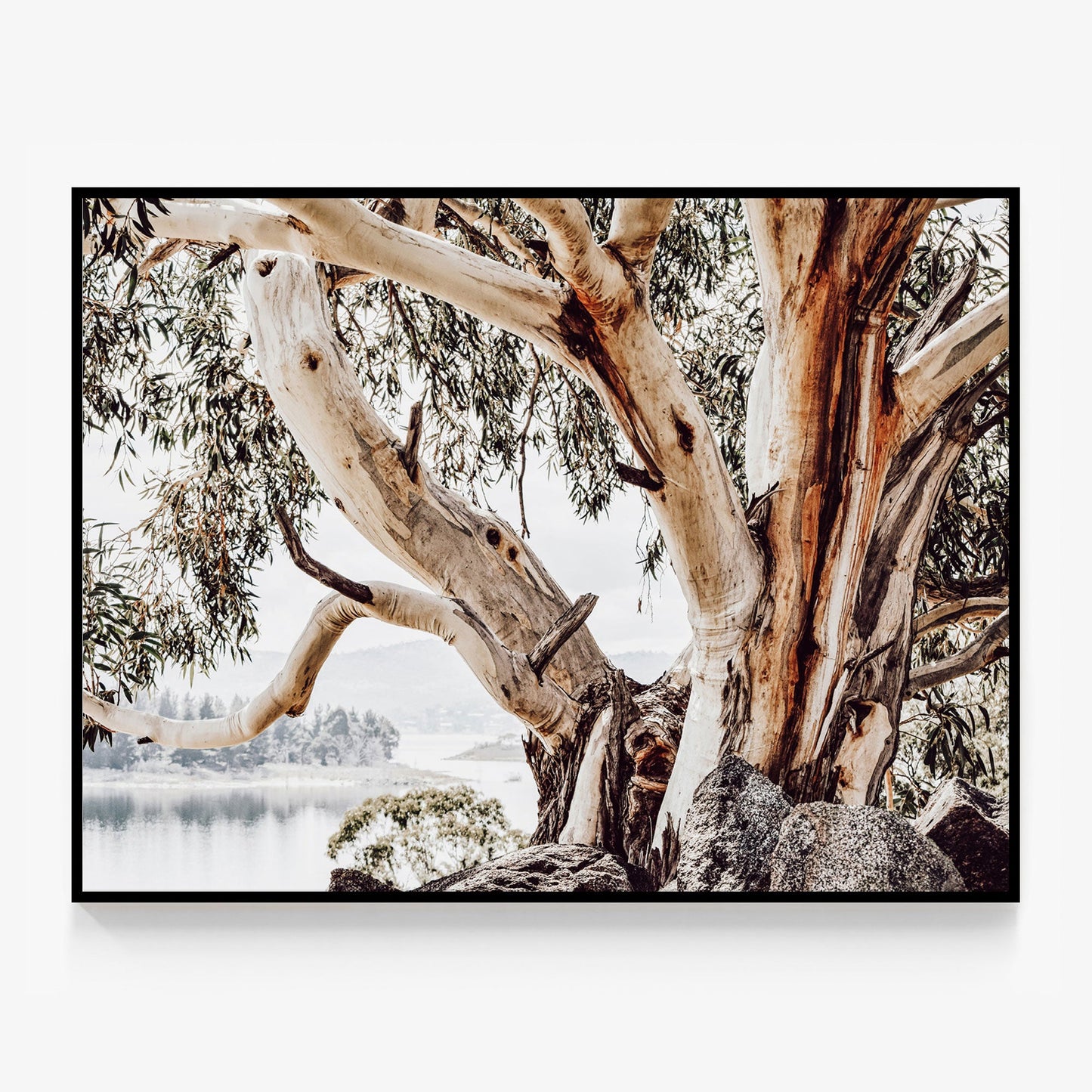 Snowy Mountains Canvas