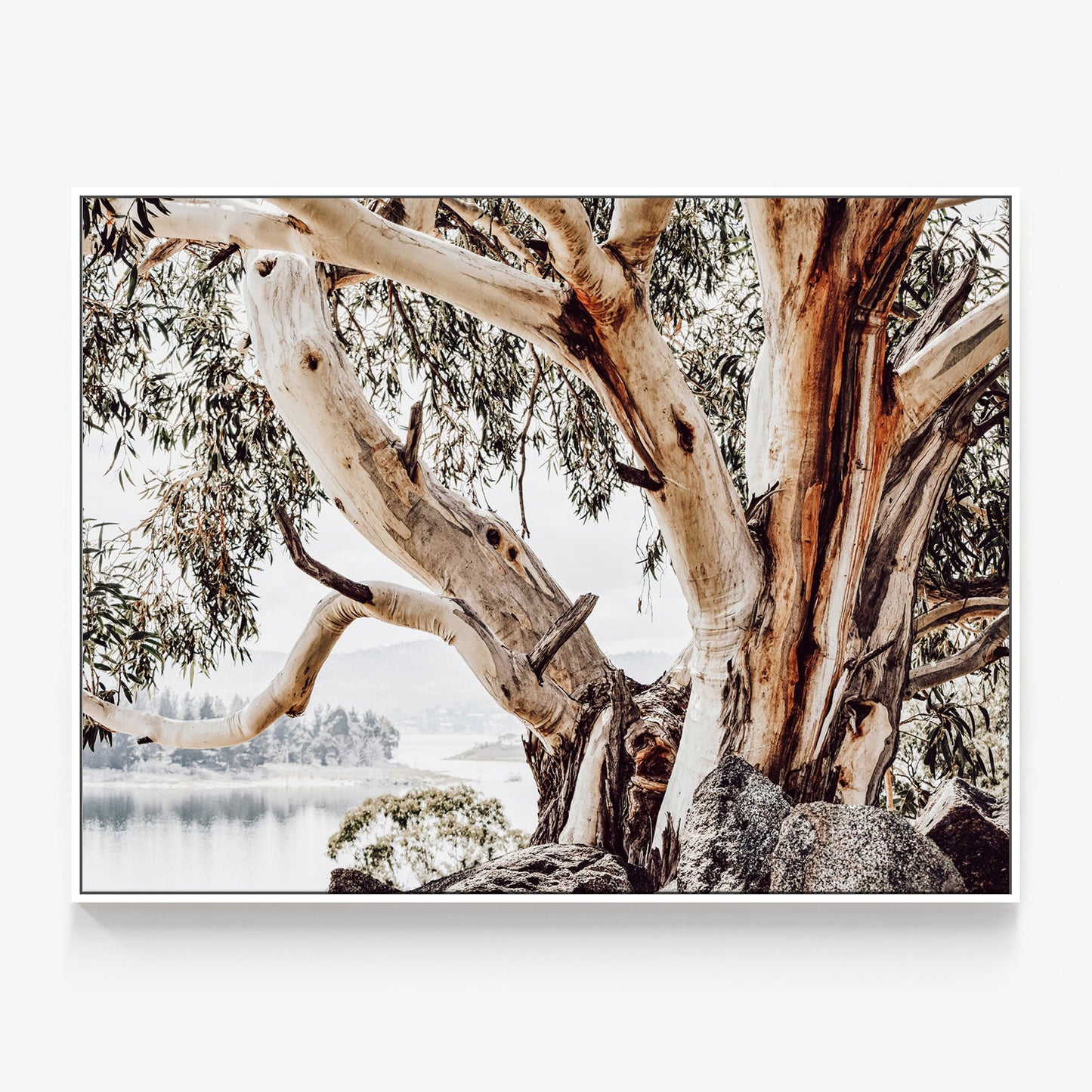 Snowy Mountains Canvas