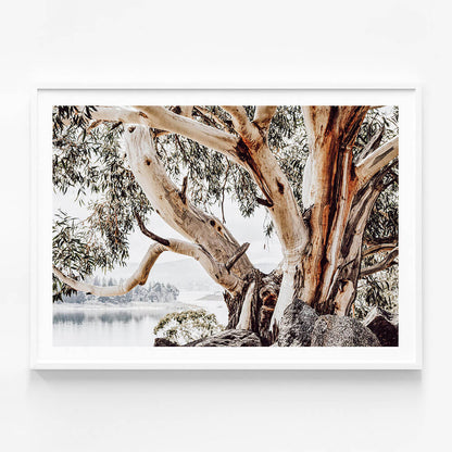 Snowy Mountains