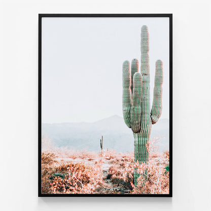 Sonoran Cacti