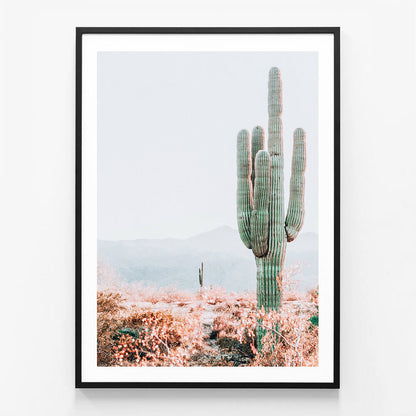 Sonoran Cacti