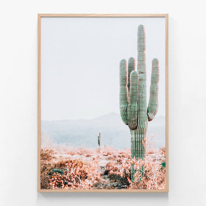 Sonoran Cacti