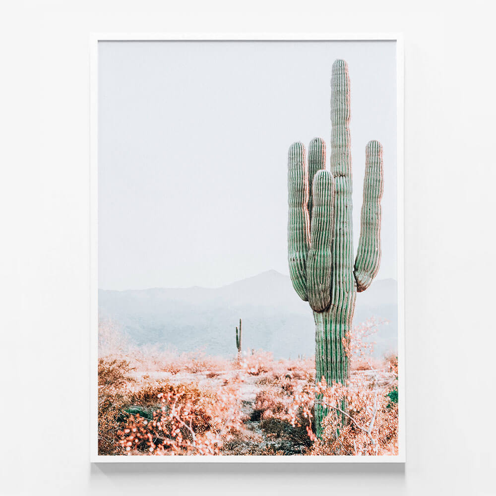 Sonoran Cacti