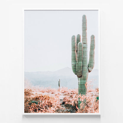 Sonoran Cacti