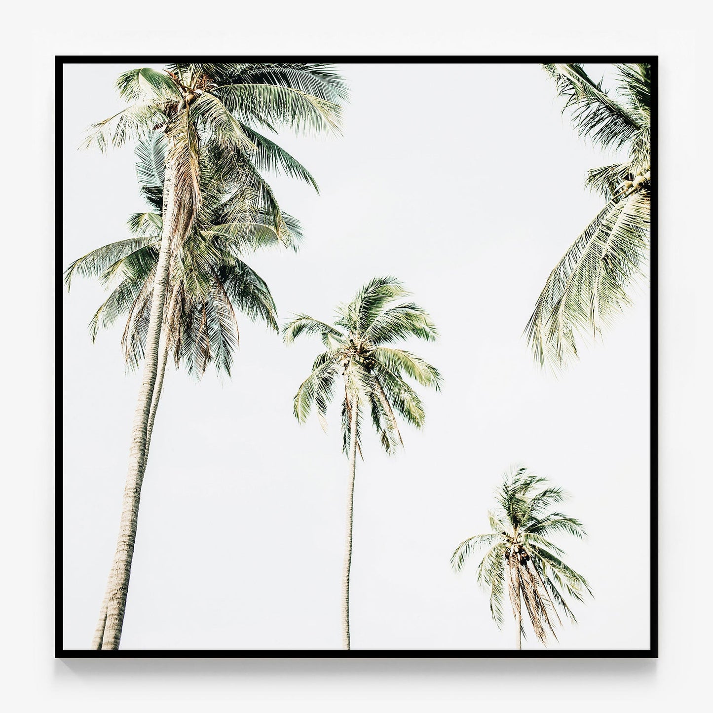 Summer Palms No. 2 Canvas
