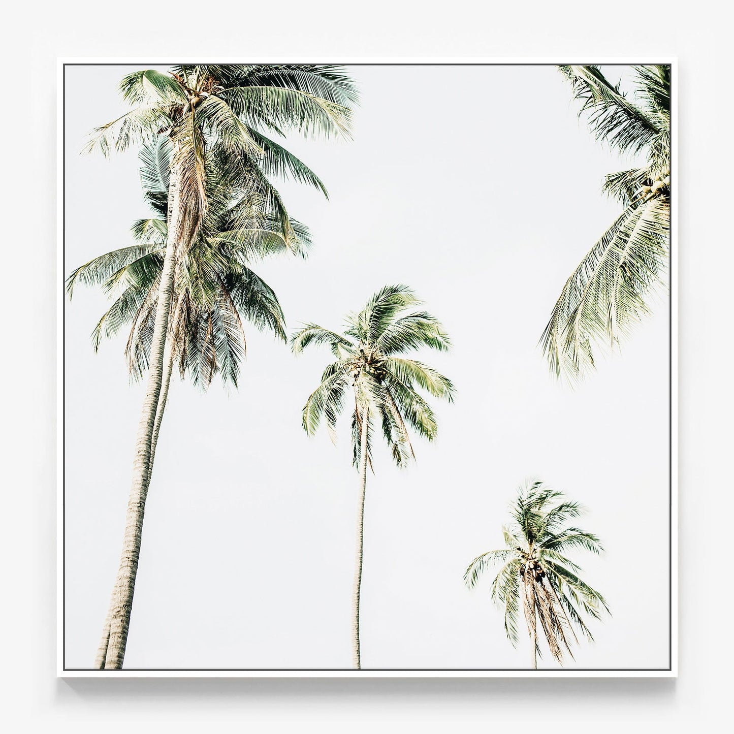 Summer Palms No. 2 Canvas
