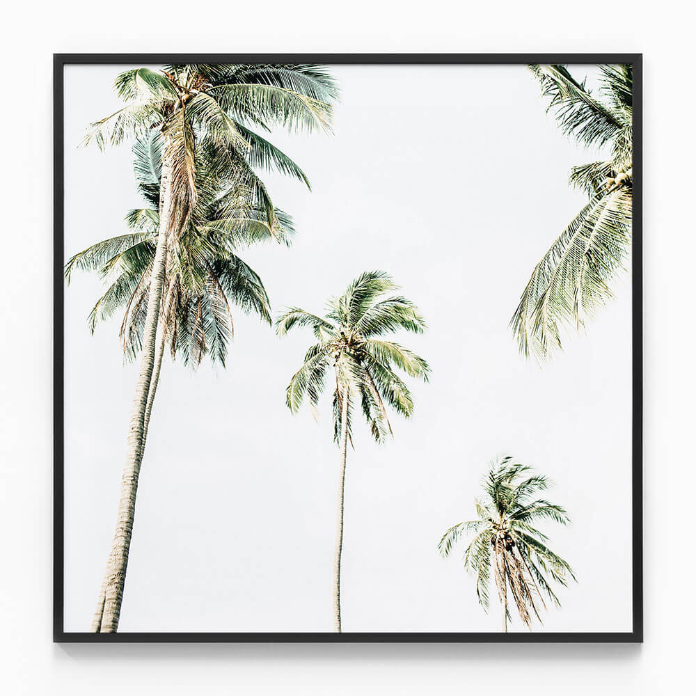 Summer Palms No. 2