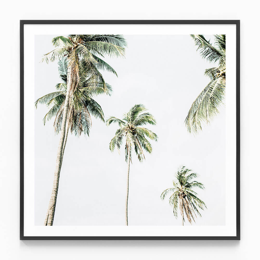 Summer Palms No. 2