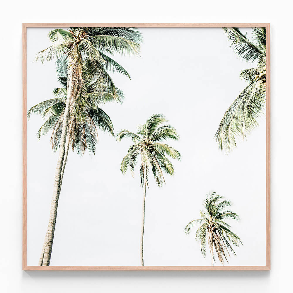Summer Palms No. 2